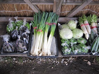 IMG_0068.jpg